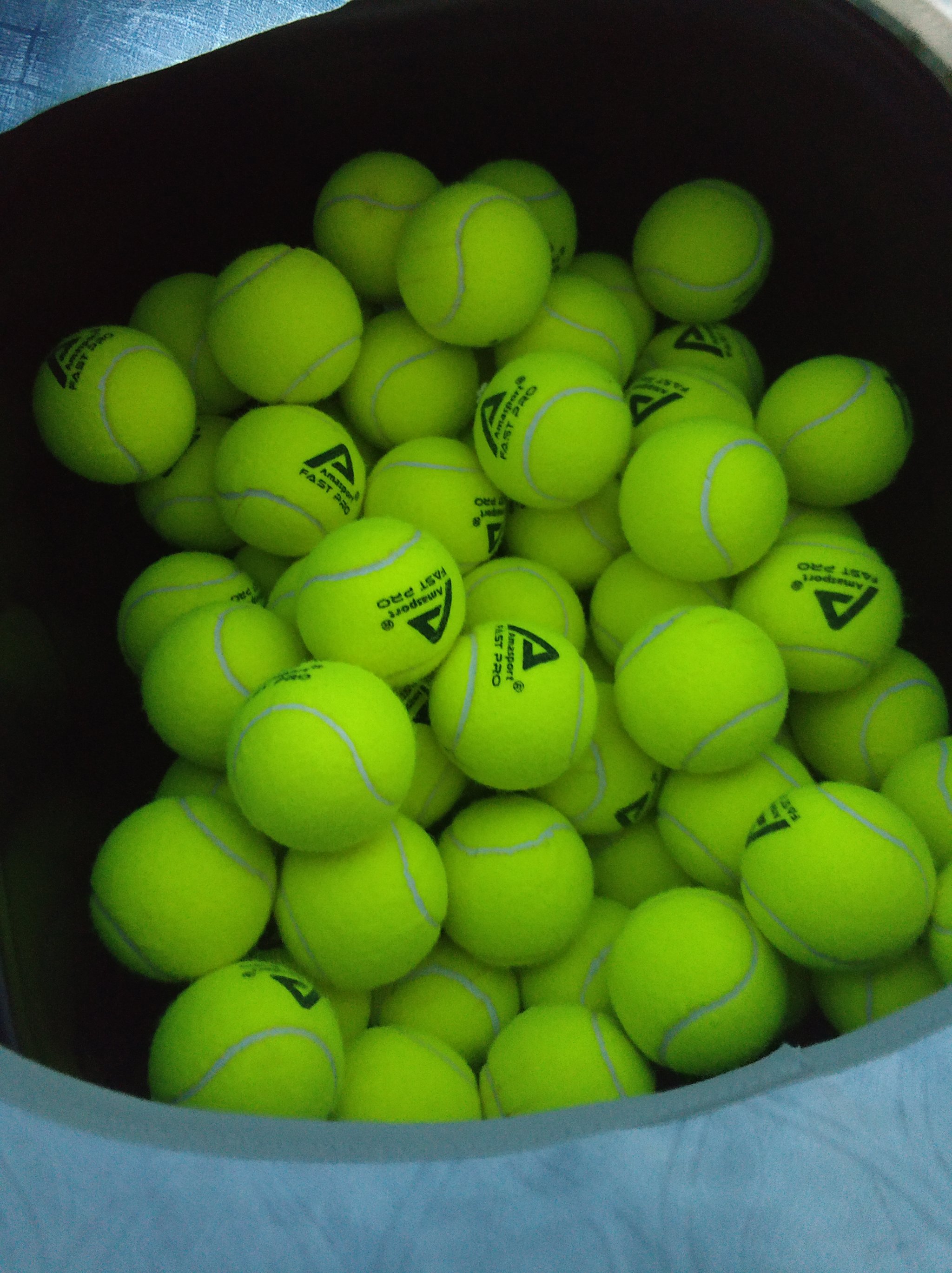 卻成了他反 卻成了他反