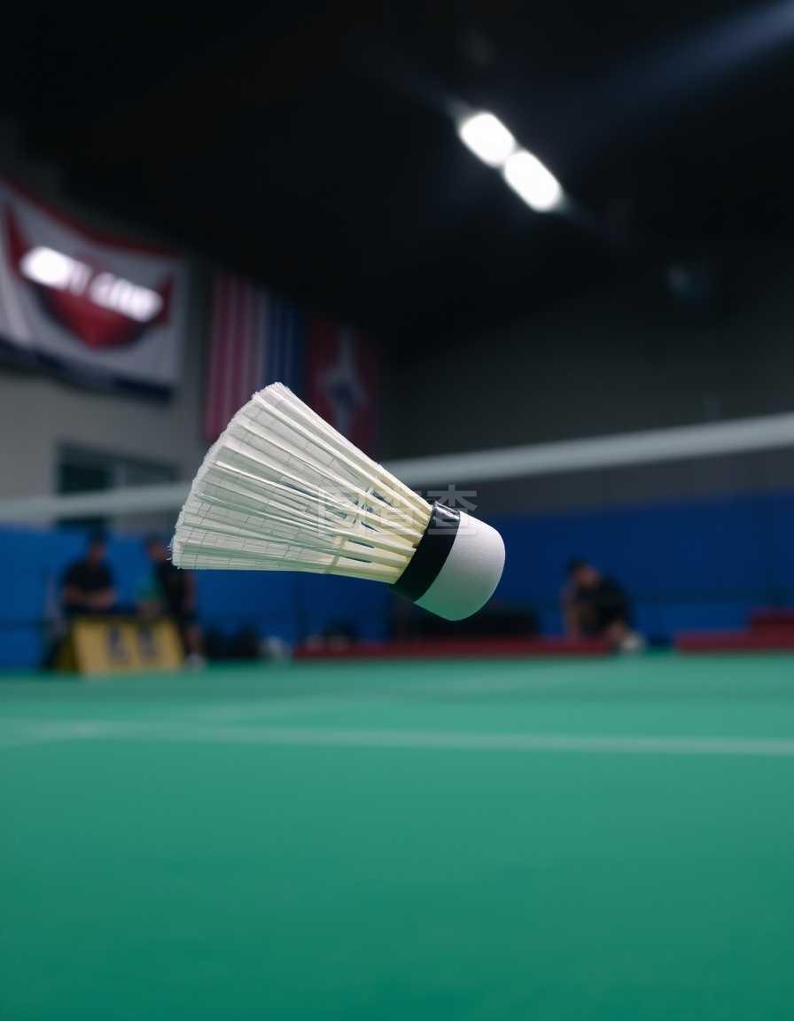 夫斯基的加 夫斯基的加